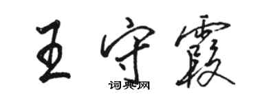 駱恆光王守霞行書個性簽名怎么寫