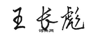 駱恆光王長彪行書個性簽名怎么寫