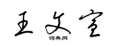 梁錦英王文宣草書個性簽名怎么寫