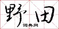 野夷的意思_野夷的解釋_國語詞典