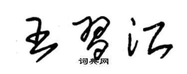 朱錫榮王習江草書個性簽名怎么寫