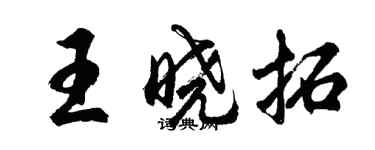 胡問遂王曉拓行書個性簽名怎么寫