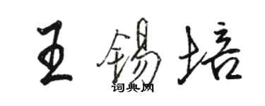 駱恆光王錫培行書個性簽名怎么寫