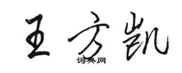 駱恆光王方凱行書個性簽名怎么寫