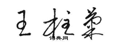 駱恆光王柱菊草書個性簽名怎么寫