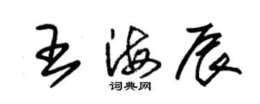 朱錫榮王海辰草書個性簽名怎么寫