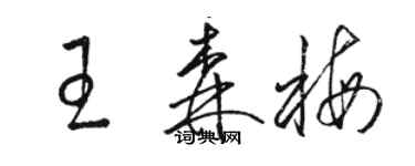 駱恆光王森梅草書個性簽名怎么寫