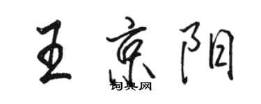 駱恆光王京陽行書個性簽名怎么寫