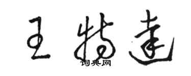 駱恆光王特達草書個性簽名怎么寫