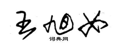 朱錫榮王旭女草書個性簽名怎么寫