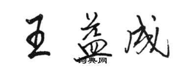 駱恆光王益成行書個性簽名怎么寫