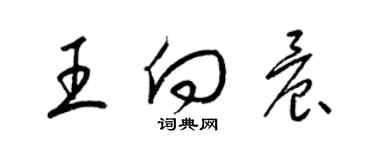 梁錦英王向晨草書個性簽名怎么寫