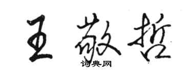 駱恆光王敬哲行書個性簽名怎么寫