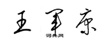 梁錦英王軍康草書個性簽名怎么寫