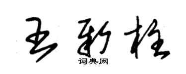 朱錫榮王新柱草書個性簽名怎么寫