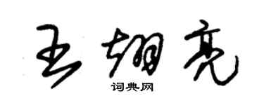 朱錫榮王翊亮草書個性簽名怎么寫