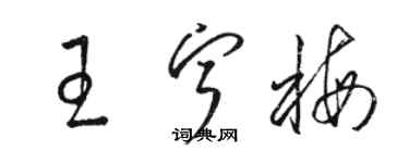 駱恆光王寧梅草書個性簽名怎么寫