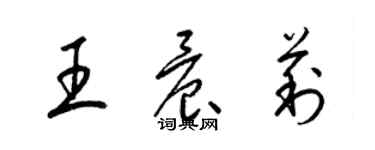 梁錦英王晨莉草書個性簽名怎么寫