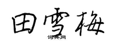 王正良田雪梅行書個性簽名怎么寫