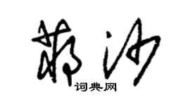 朱錫榮蔣沙草書個性簽名怎么寫