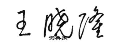 駱恆光王曉隆草書個性簽名怎么寫