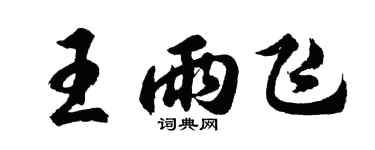 胡問遂王雨飛行書個性簽名怎么寫