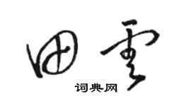 駱恆光田雲草書個性簽名怎么寫