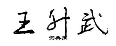 曾慶福王升武行書個性簽名怎么寫