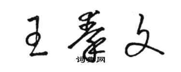 駱恆光王秦文草書個性簽名怎么寫