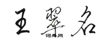 駱恆光王翠名行書個性簽名怎么寫