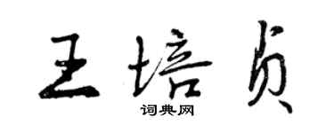曾慶福王培貞行書個性簽名怎么寫