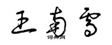 曾慶福王南雪草書個性簽名怎么寫