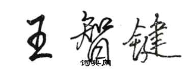 駱恆光王智鍵行書個性簽名怎么寫