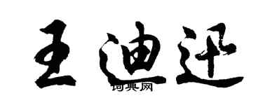 胡問遂王迪迅行書個性簽名怎么寫