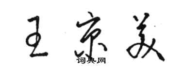 駱恆光王京美草書個性簽名怎么寫