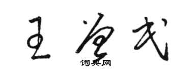 駱恆光王曾民草書個性簽名怎么寫