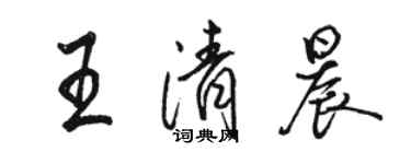 駱恆光王清晨行書個性簽名怎么寫