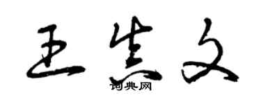 曾慶福王真文草書個性簽名怎么寫