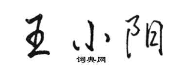 駱恆光王小陽行書個性簽名怎么寫