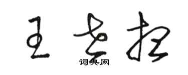 駱恆光王世想草書個性簽名怎么寫