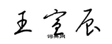 梁錦英王宣辰草書個性簽名怎么寫