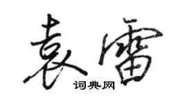 駱恆光袁雷行書個性簽名怎么寫