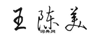 駱恆光王陳美行書個性簽名怎么寫