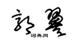 朱錫榮郭翼草書個性簽名怎么寫