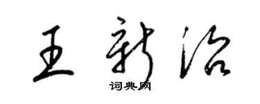 梁錦英王新治草書個性簽名怎么寫