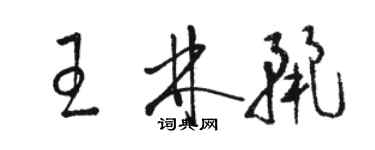 駱恆光王林麗草書個性簽名怎么寫