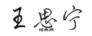 駱恆光王思寧行書個性簽名怎么寫