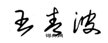 朱錫榮王青波草書個性簽名怎么寫