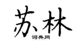 丁謙蘇林楷書個性簽名怎么寫