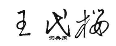 駱恆光王代櫻草書個性簽名怎么寫